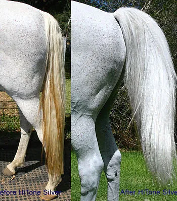 Hi Shine Equine Hi Tone Silver