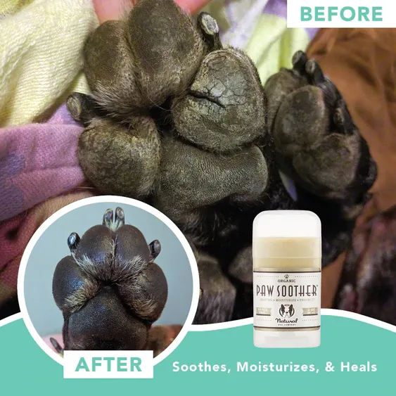 Natural Dog Company Paw Soother® Paw Balm