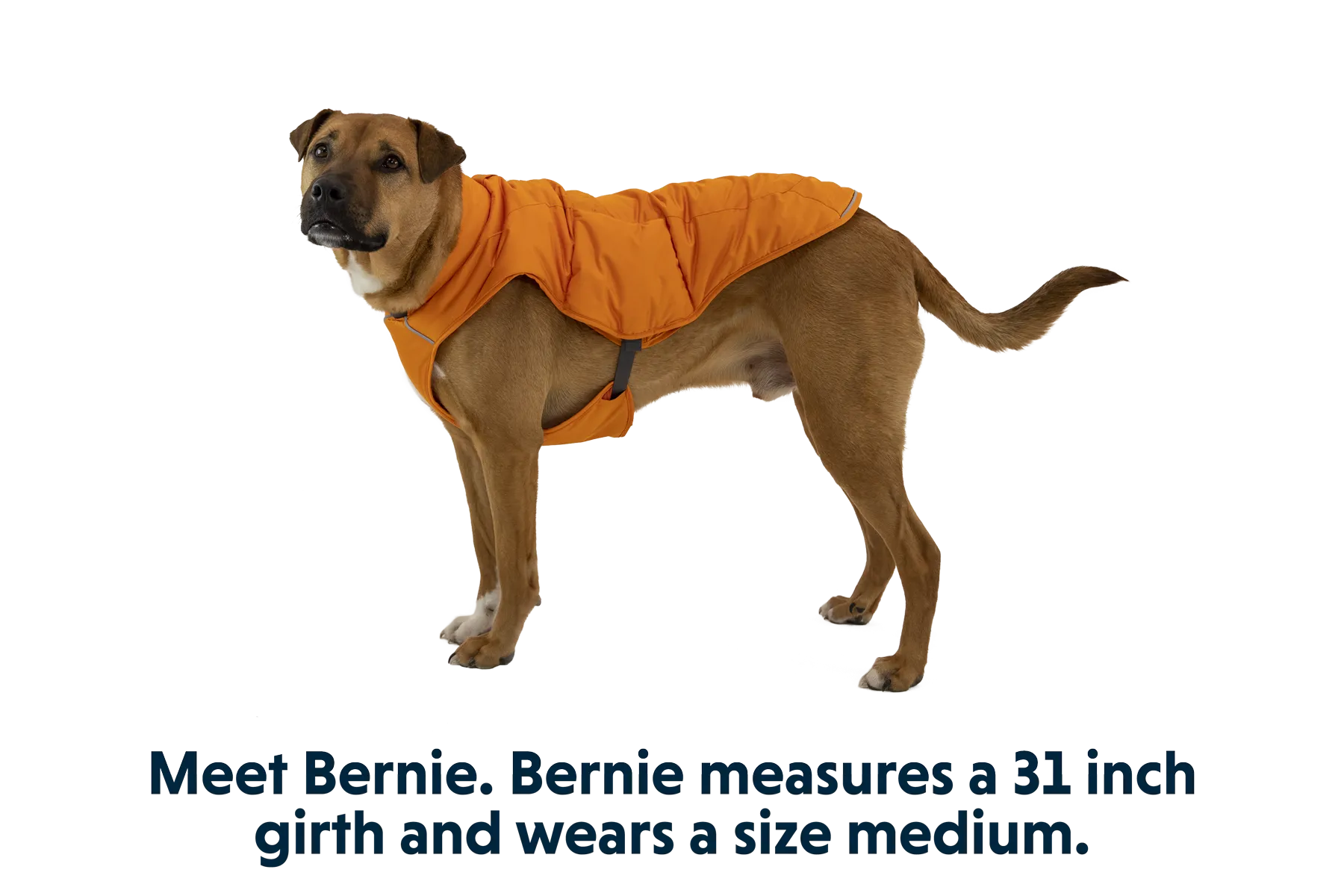 Quinzee™ Dog Jacket