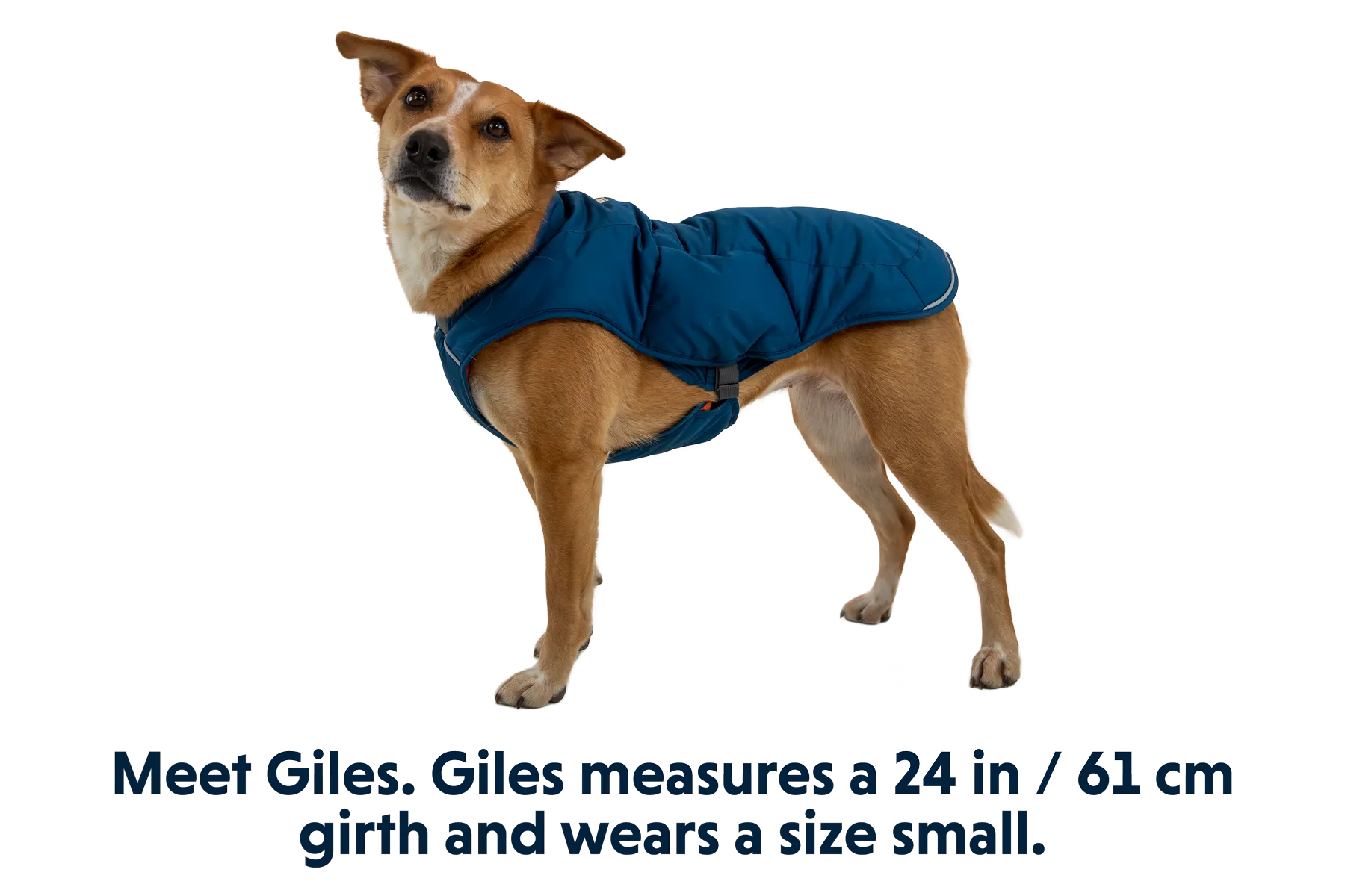 Quinzee™ Dog Jacket